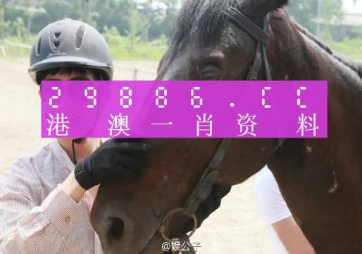 澳门一肖一特一码一中——合法吗全面释义、解释与落实