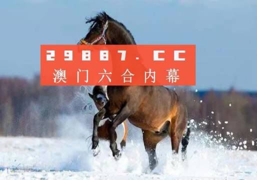 澳门和香港必开一肖一码一中全面释义、解释与落实